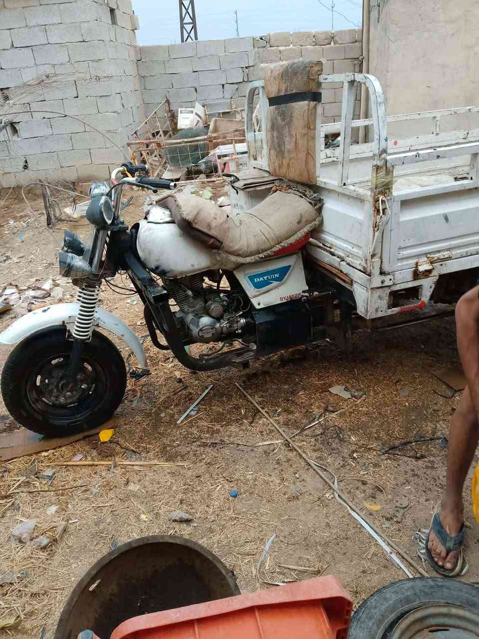 ستوته • شطره • مكفولة عشاير