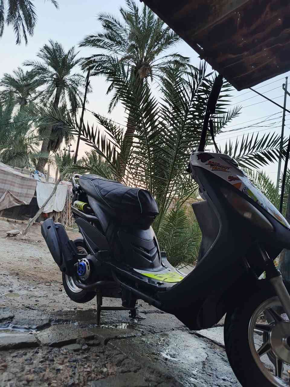 ماكس منغولي • نضيفه • مستعجل