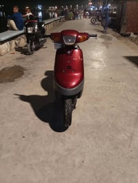 بطة • جديده • حاوية