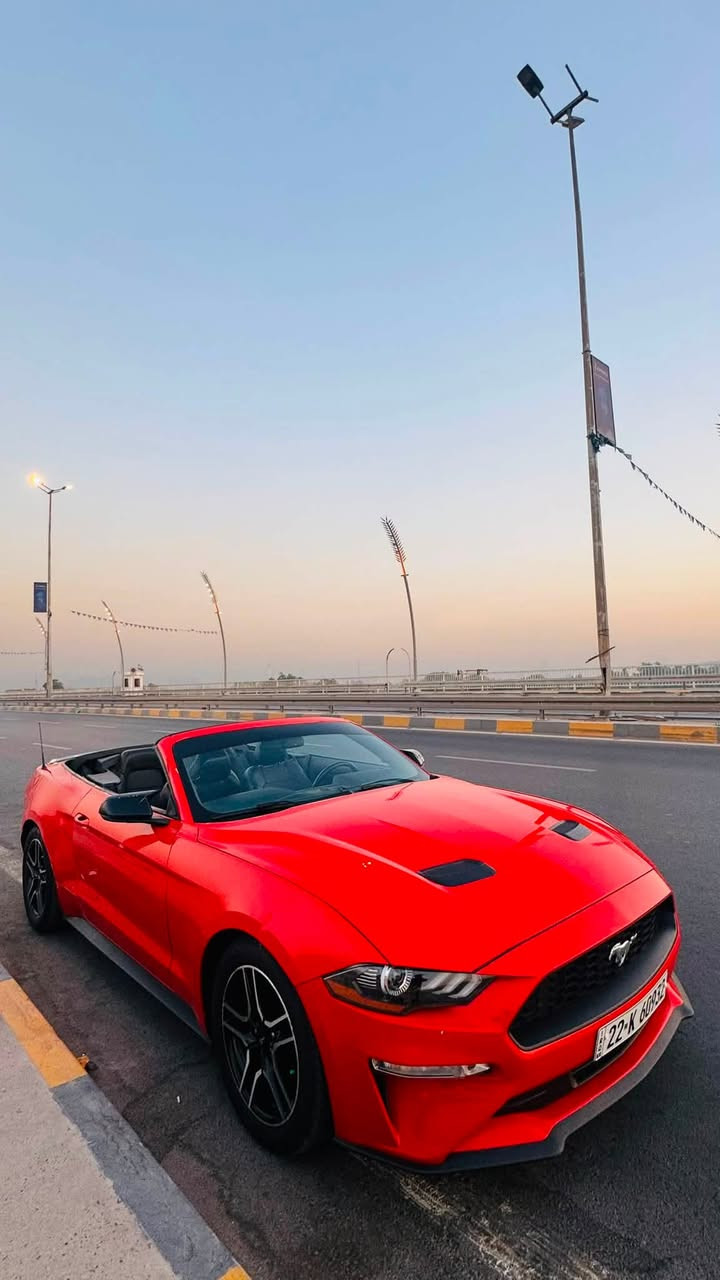 فورد موستنك ايكو بوست 2019 بريميوم فول 1/1
كير مكينة اكسل شاصي لغد كفالة بجم كبس 
حادث باب وجاملغ خلفي ايمن باب مبدل اصلي وجاملغ مصلح بدون كص ايرباك الكراسي فقط بنيد دبل كود بدون حادث امامي مكاني بغداد *********** السعر 145
