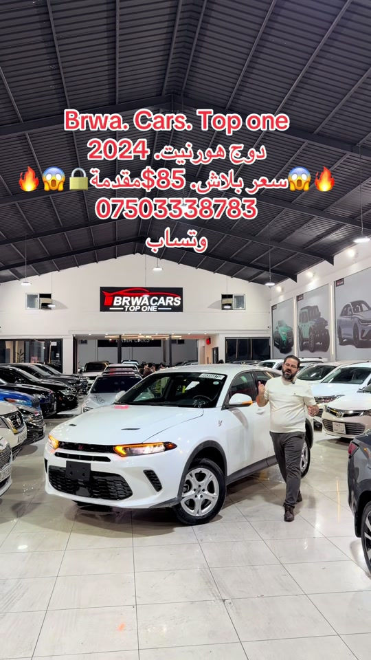 هورنيت • ٢٠٢٤ • واتساب
