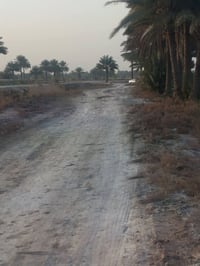 بابل أبي غرق • ١٢ دونم • ماء سقي دائم
