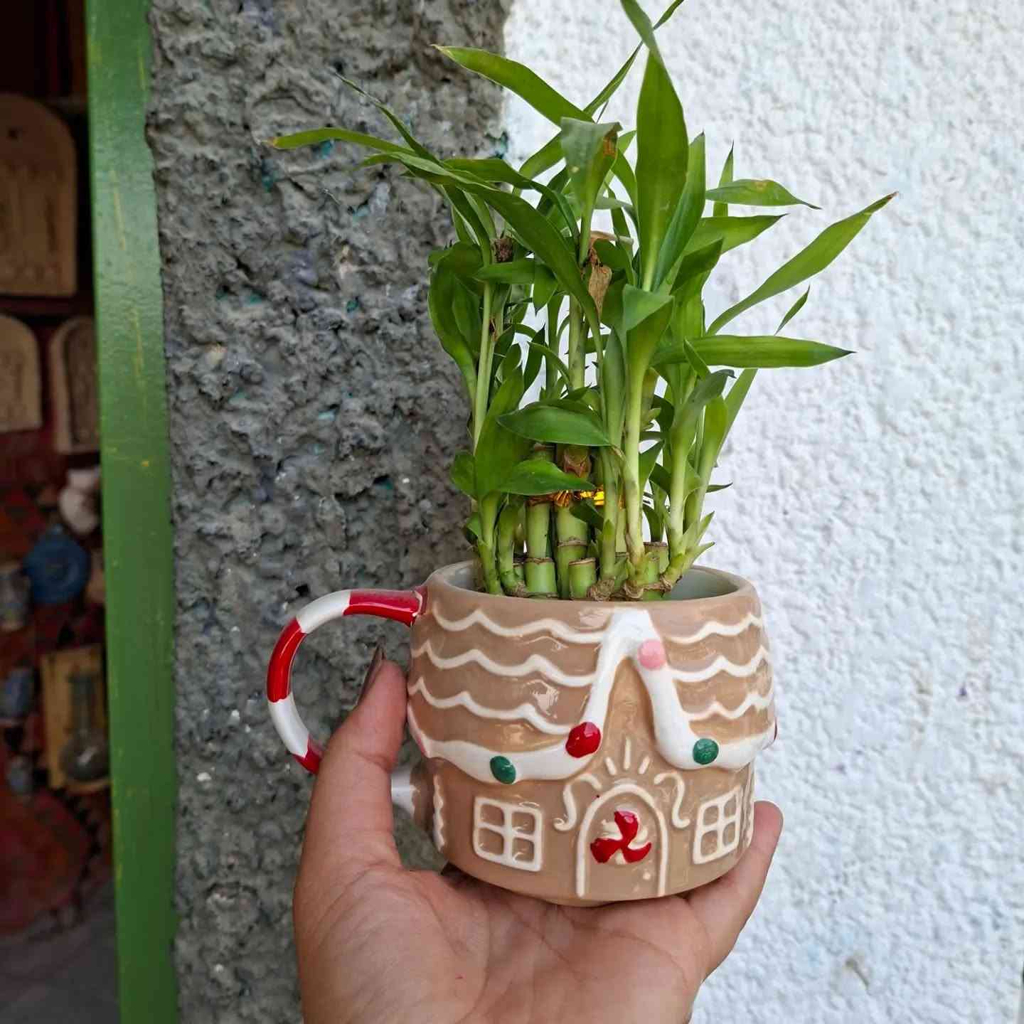 🌿✨ عرض جديد من مجمع الأورزدي ✨🌿
🌱 كوب أنيق ويا عصا موسى
لمسة خضراء بسيطة تضيف جمال وفخامة للمكان 🤍
🔥 السعر ٦٠٠٠ فقط 🔥
📍 حلة – حي الصحة – شارع الكورنيش
📞 ***********
📞 ***********

خلي بيتك يحچي عن ذوقك 🌿✨
