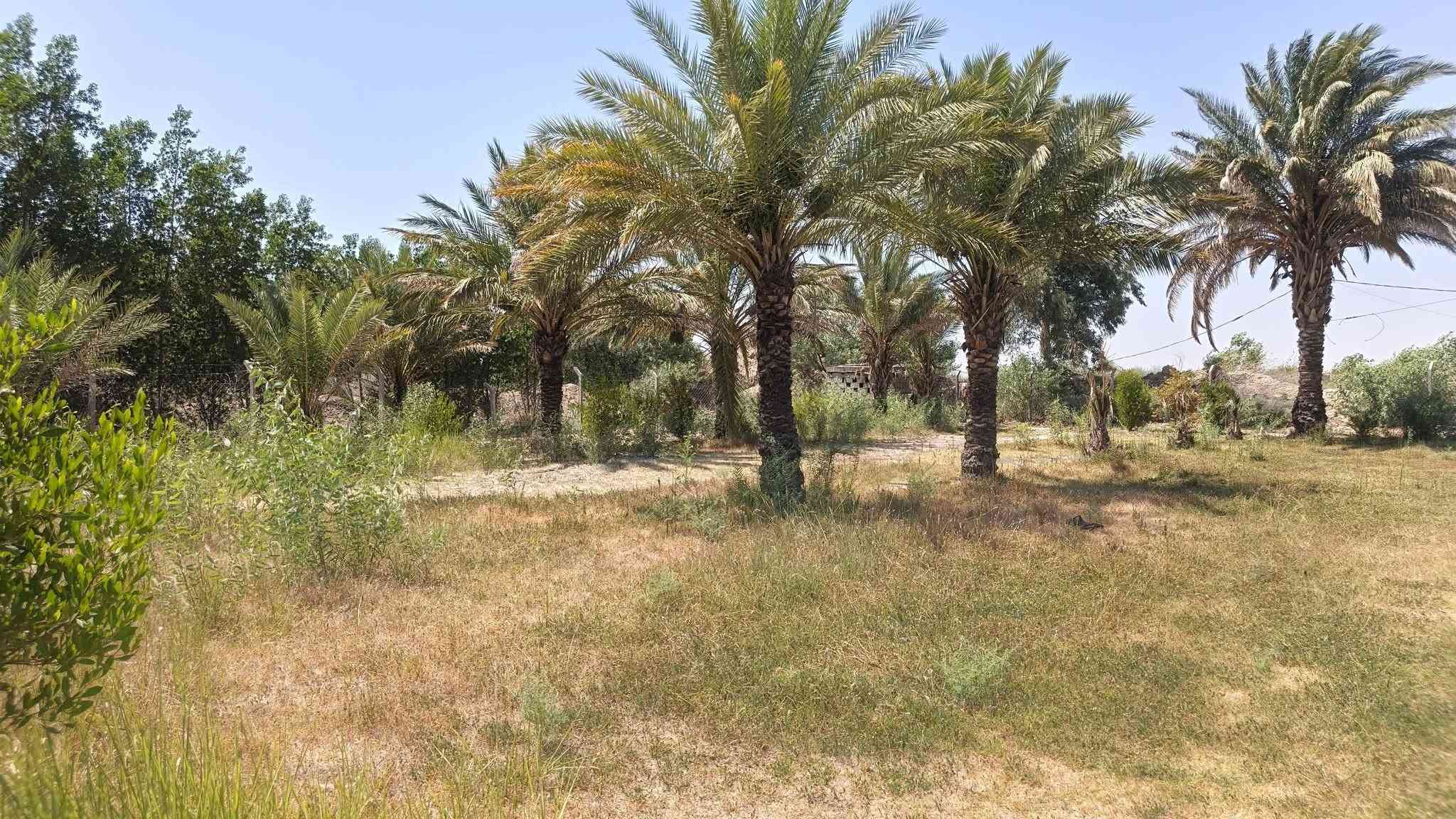 ٥ دونم • طريق دجيلي • حديقة ٦٠٠م
