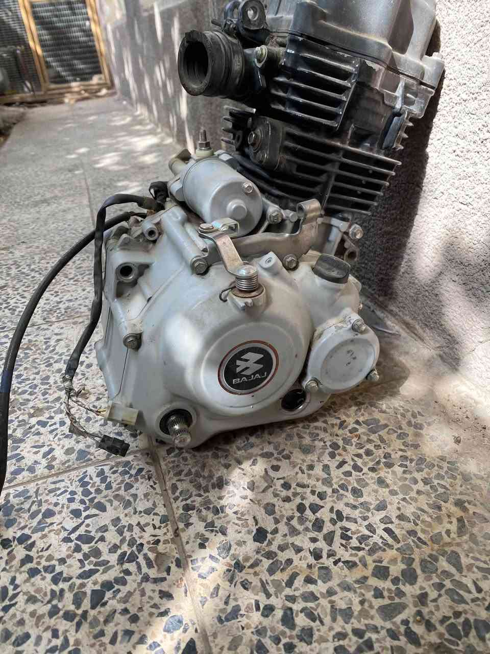 بوكسر • مديل٢٣ • كفاله