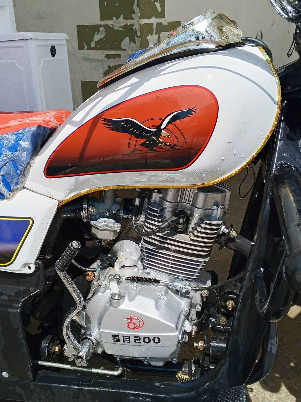 السلام عليكم
للبيع ستوته ام الطير🦅 

موديل2026 صفر كيلو متر

ويل صب تاير13 مكينه 200cc ويل سبانه جگ

للاتصال ☎️ ***********

مكاني ديالى 🍊 الخالص الناي
