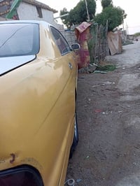 بطه • مكينة نضيفة • تبريد ثلج
