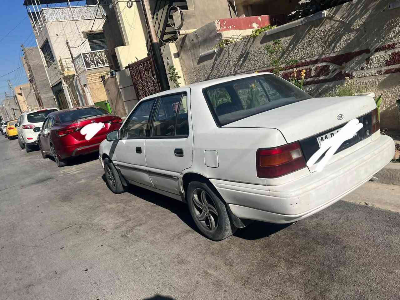 بلاديه • ما مصبوغه • الگير يخربط