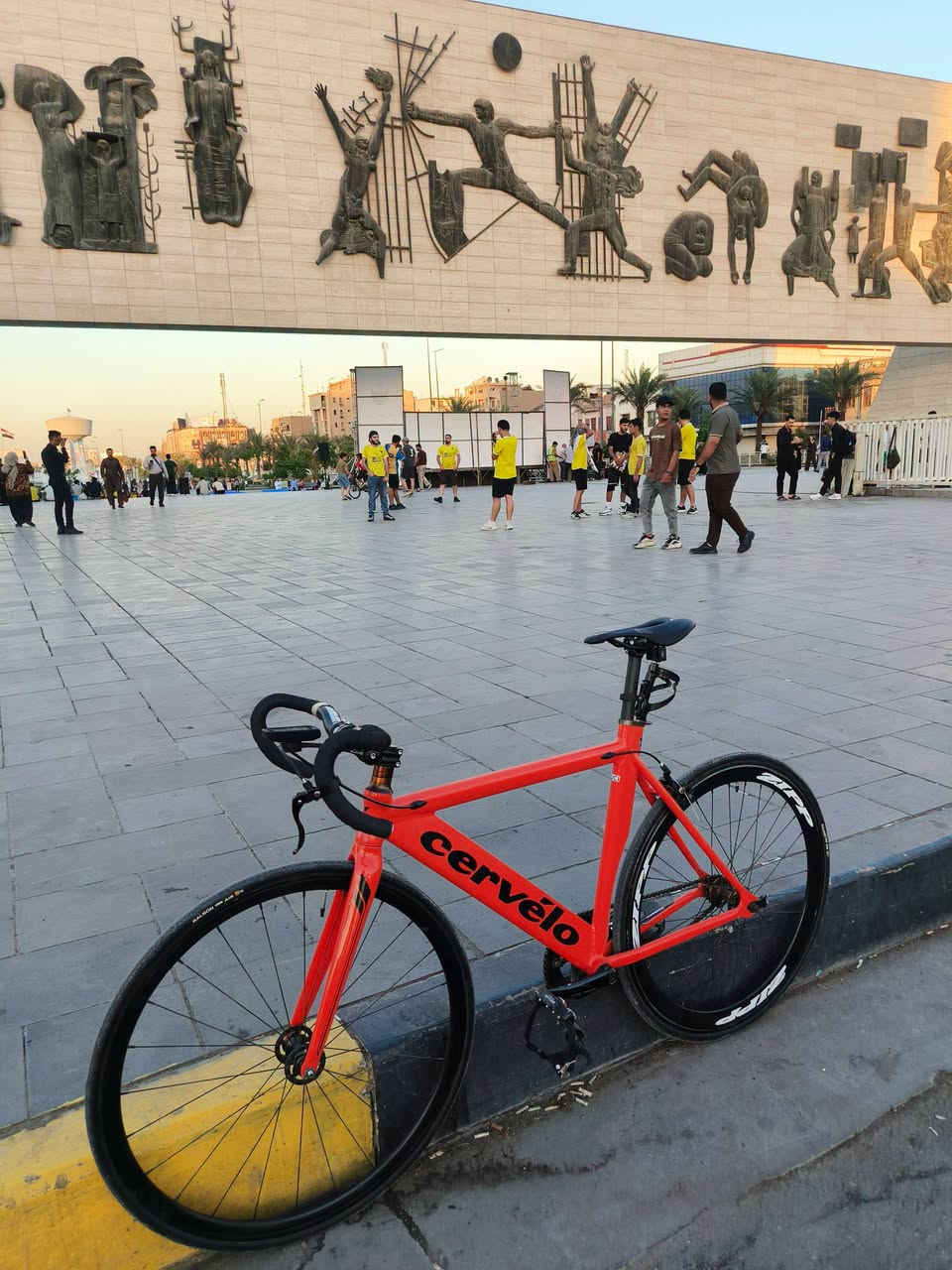 فگسد • سعر مناسب • بابل