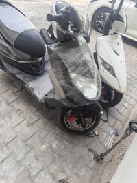 دراجه سيجنس فحل07717859771