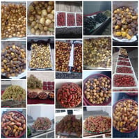 تمر الدينة • ديالى • توصيل بعقوبة