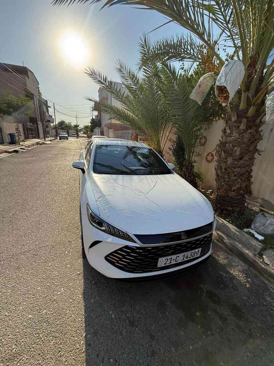 2025 clen
17km
*********** السليمانية, العراق
