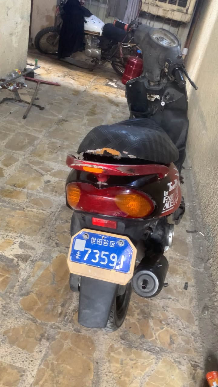 ماكس • نضيف • معدل فول