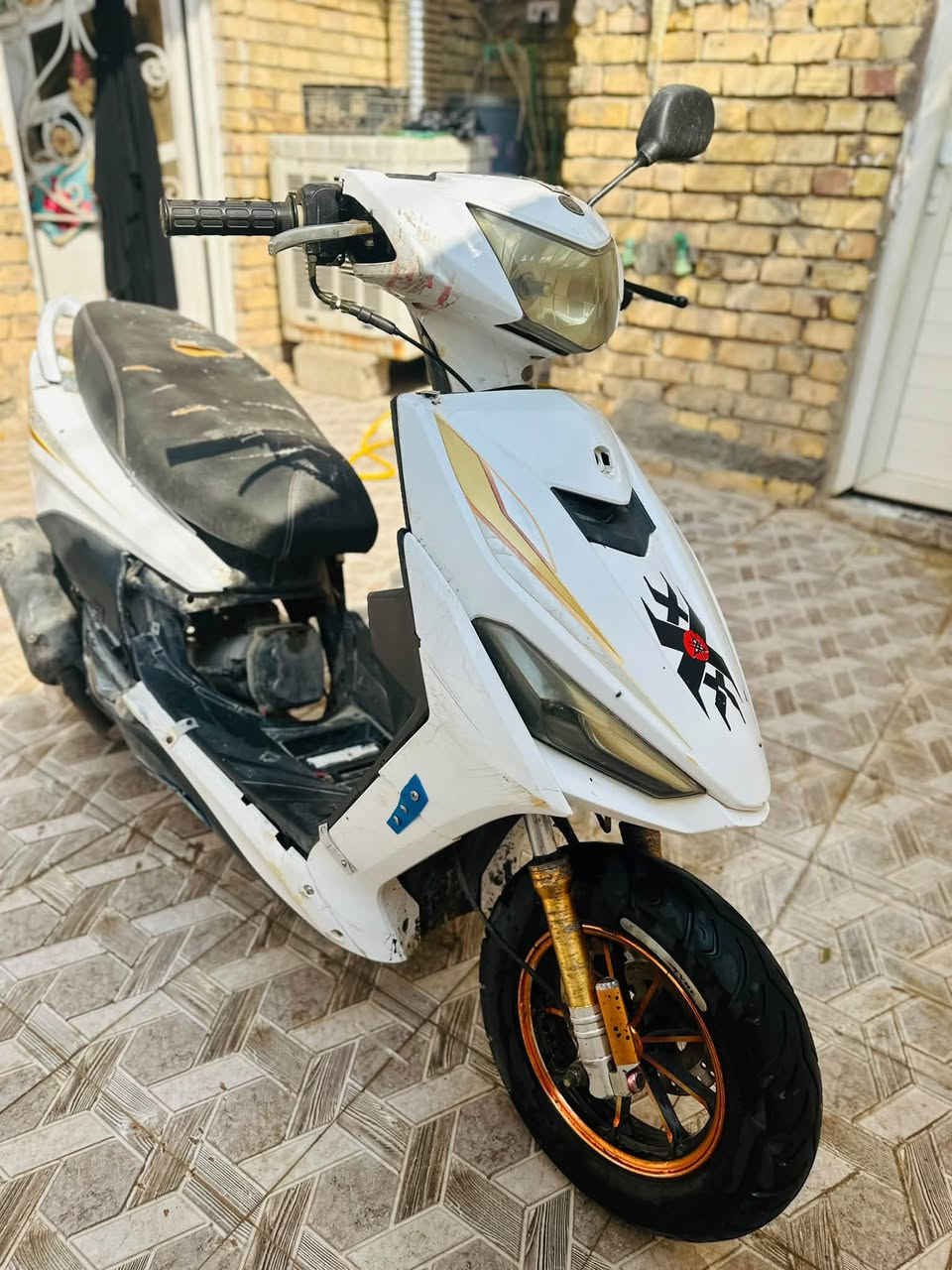 صيني • سلف • ١٥٠
