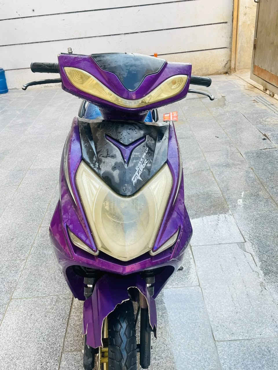 سكنس • ٢٠٢٤ • سلف