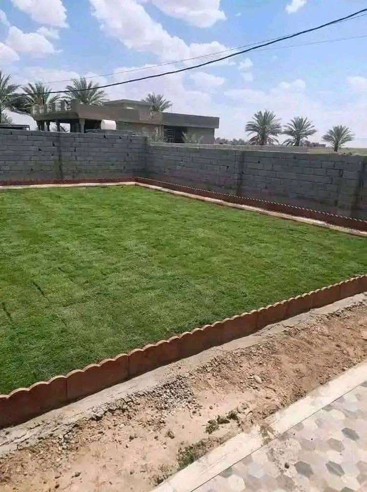 ثيل طبيعي • تسوية أرض • الديوانية والحلة