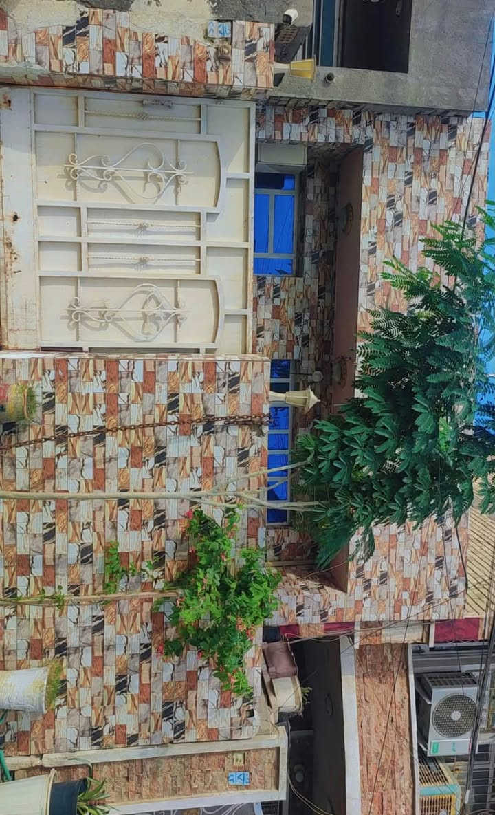 السريدات الجديدة • ١٠٠م • واجهة ١٠م