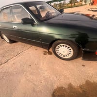 بطة • ١٩٩٢ • مكفولة