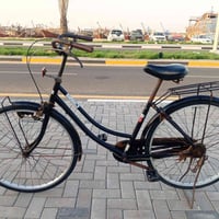 باسكل • حجم ٢٦ • الفاو