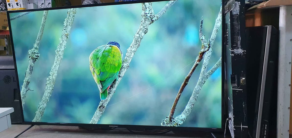 تەلەفیزۆنی گۆسۆنیک سمارت 4K سەتەلایتی تێدایە
قەبارە 65 خاوێنە نرخی 380000 بەشەرتە لە هەولێرە
پەیوەندی بکەن بە واتساپ و ڤایبەر *********** أربيل, العراق
