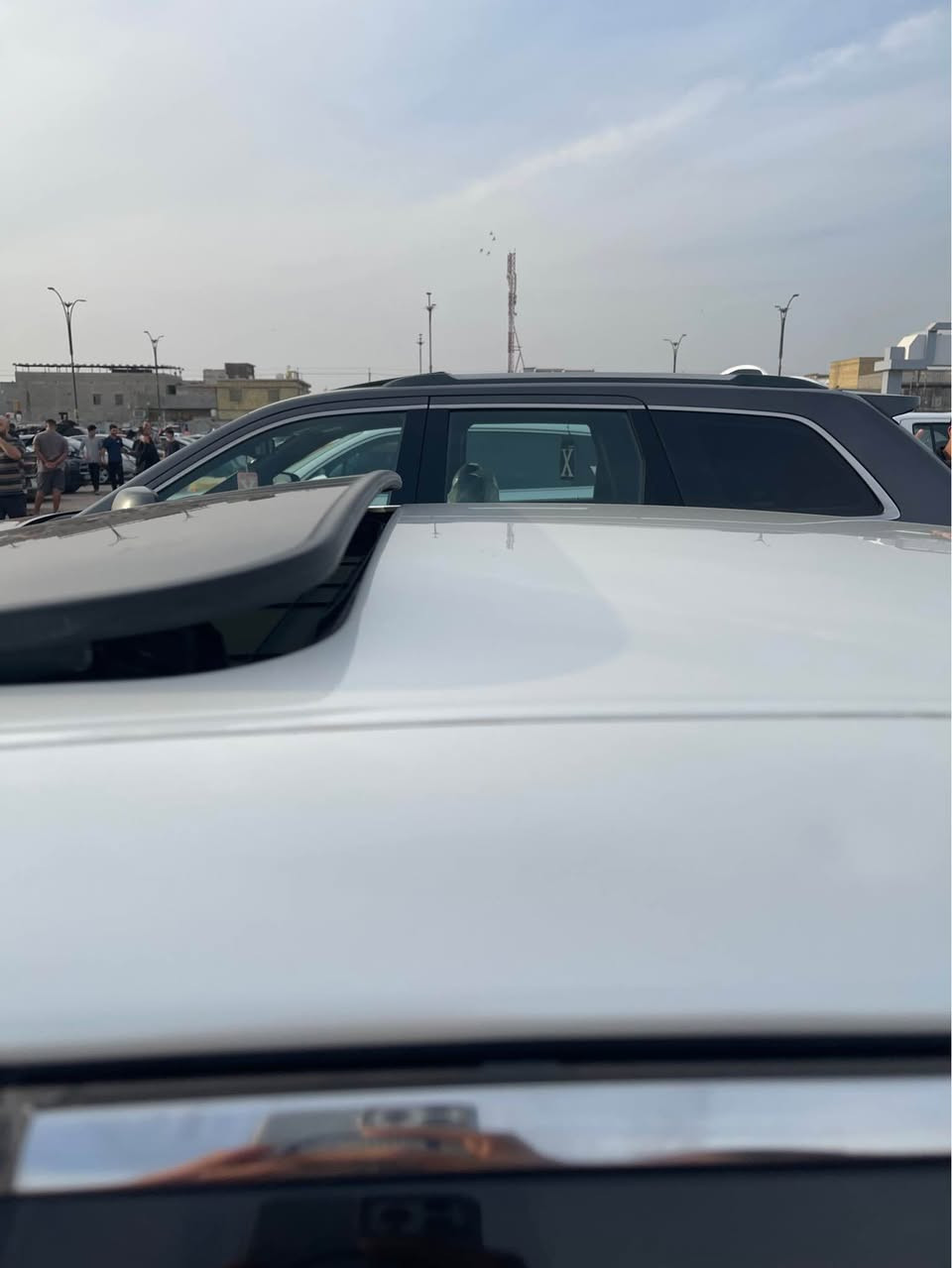 شاهينه • ٢٠٠٥ • رقم بصره