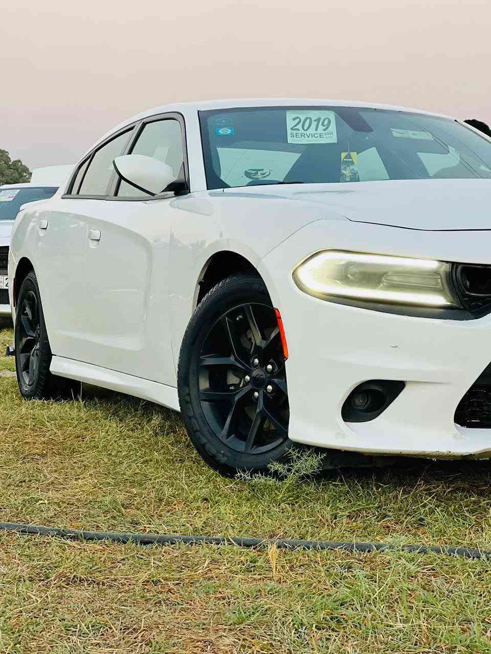 دوج تشارجر 2019 اصل بغداد بسمي دولي
حادثها جاملغ وبنيد صبغ سونار مع الصور 

مواصفات اصل  جيتي 

مكينه وگير 3600 توه ويل 

كشنات دبل حضن 

رادار جانبي+  حساسات

شاشه كبيره +كامره بلاد

شفتات استيرن 

مرايه وسطيه تعتيم الضوء

السياره جاهزه اخر حبايه ادامه عامه مكينه وكير

 وحداده ولايت زنون وباتري وتبريد كله جديد 

العنوان ذي قار الشطره *********** واتساب

السعر 192وبيها مجال للشراي بيع مراوس عادي
