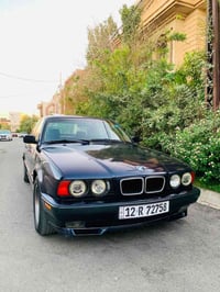 اوتوماتيك • ١٩٩٤ • صبغ فقط