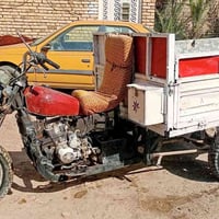 ستوته • رقام عوزه • كاطعه ولف