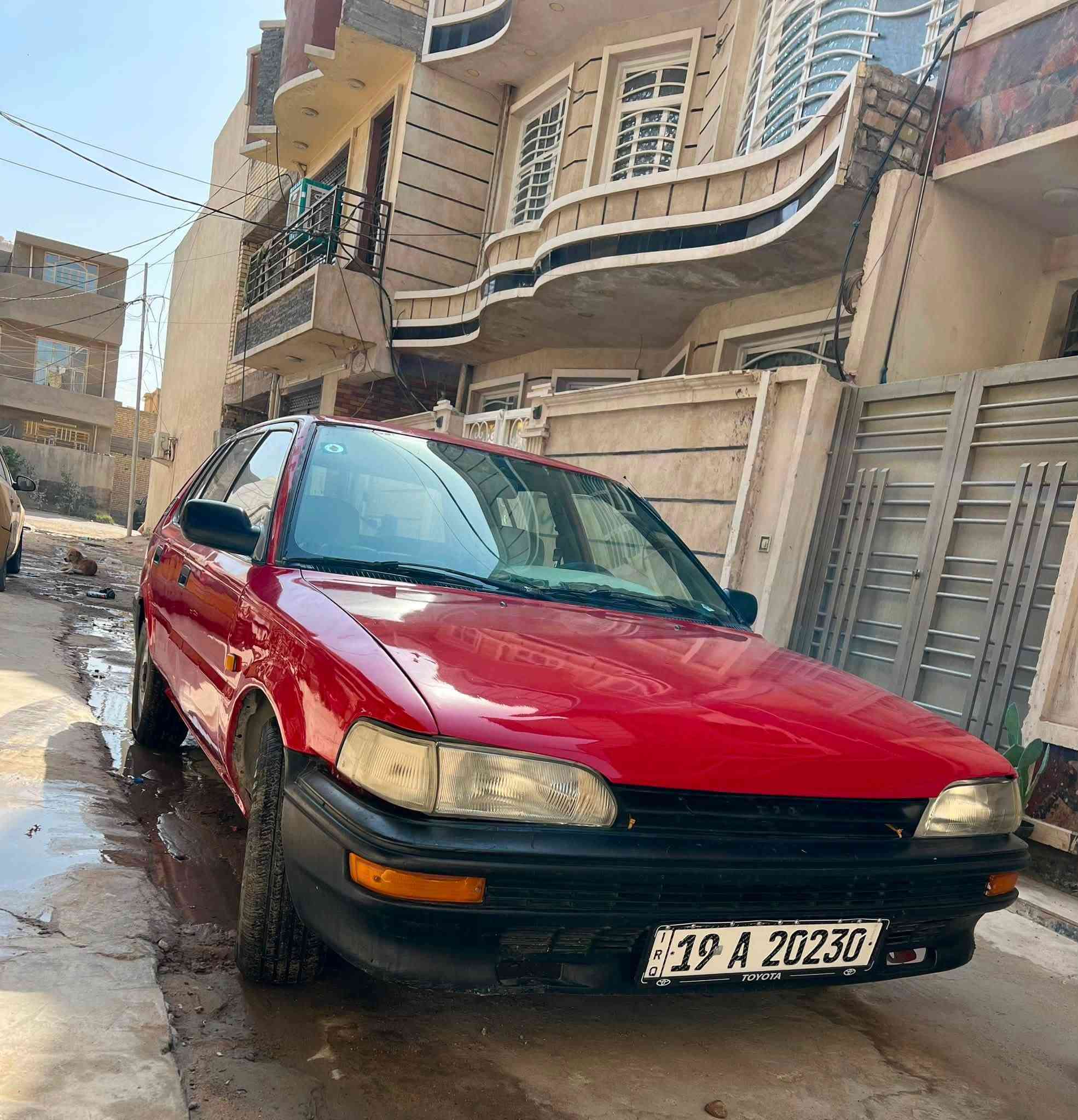 السلام عليكم شباب  سياره كورلا للبيع 🍅🇯🇵 موديل 92 كير عادي    مكينه نكره بكل وكت لا تبخير ولا نضوح. خير من الله ترايك وين ميعجبك كير عادي هزه جديده رقمها كربلاء كشروع وطني وين ميعجبك تحول. السياره بسمي. مكاني بغداد 
رقم الهاتف *********** ما متواجد عل فيس هواي. خابرني وبالخدمه السعر 30 وبيها مجال تعال وتأمر تحياتي للجميع 🫡♥️
