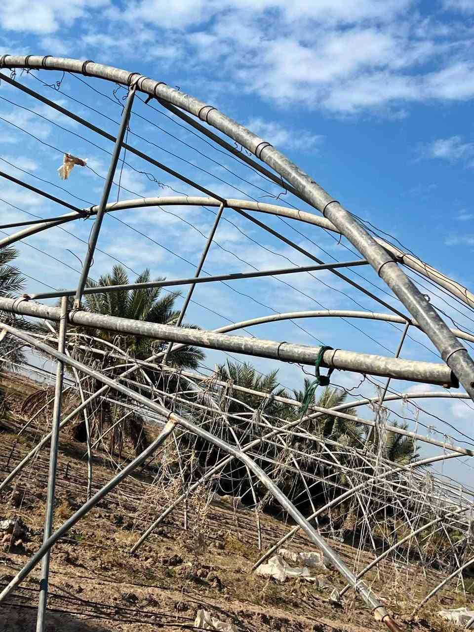 السلام عليكم بيوت زجاجيه البيع الاردني 24 قوس طول 58متر ونص بس حديد المكان بابل جبله زبيدي الاستفسار اتصال ‏‪***********
