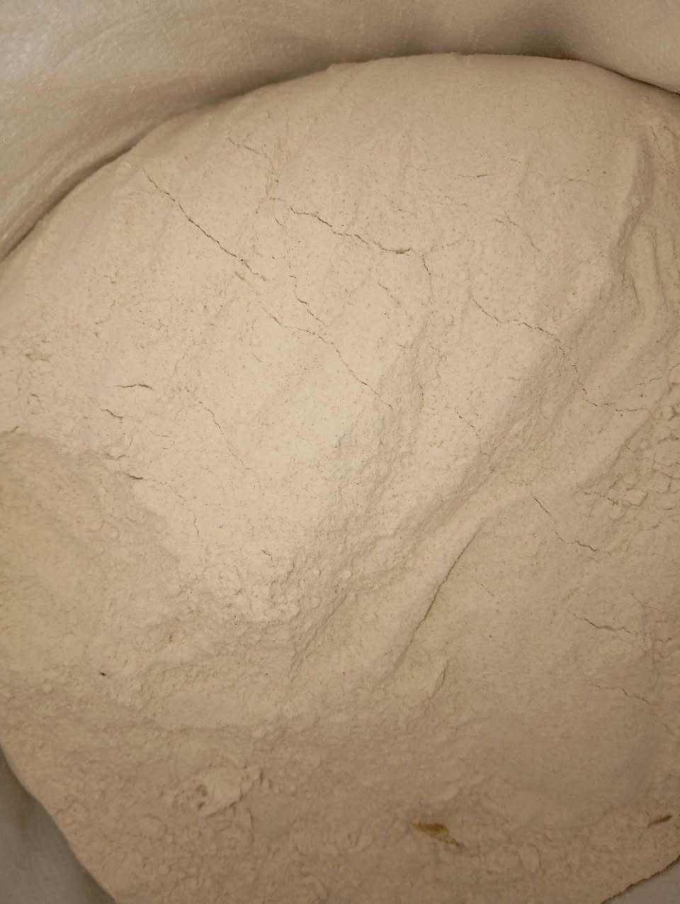 طحين • درجة أولى • ١٧ كيلو ونص