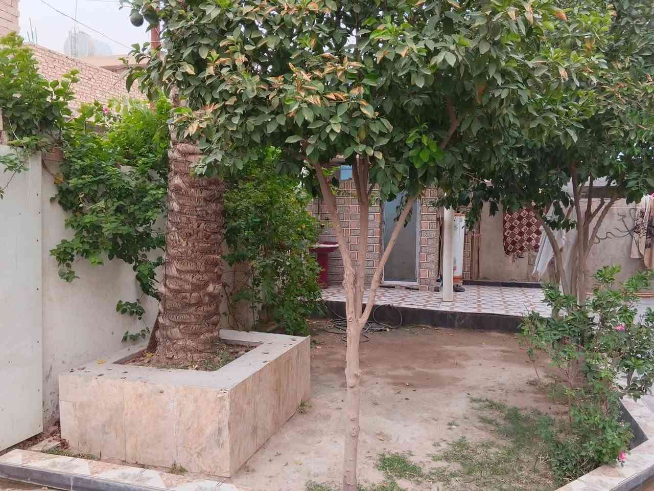 الفلوجة حي الرسالة • ٢٥٠م • ٢ غرف