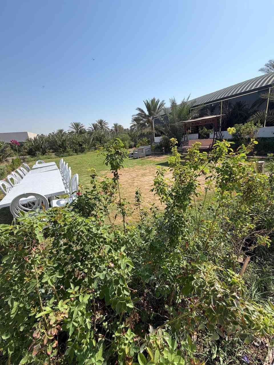 بغداد كاظميه • مزرعة 3025 • مسبح مغلق ماي حار