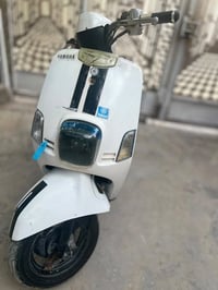 معدل • زنون • بريكات