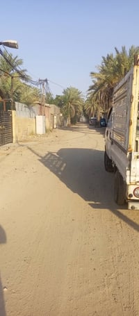 دونم • طابو زراعي • حمضيات ونخيل