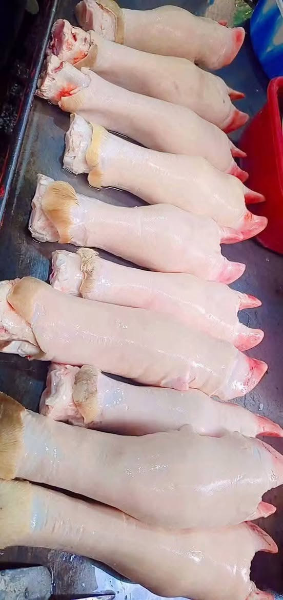 باجات غنم • كرشات عجل • توصيل الفلوجه