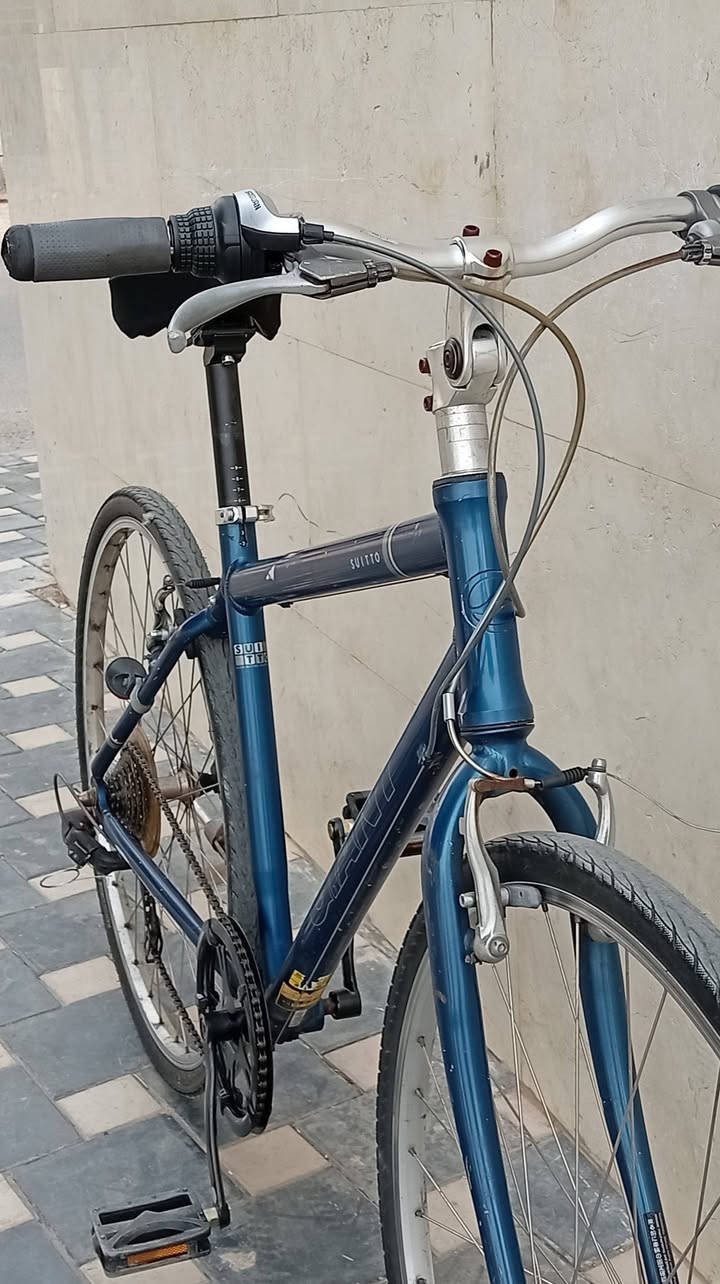 جيانت C700 • عجلات 28 • كسر حاوية