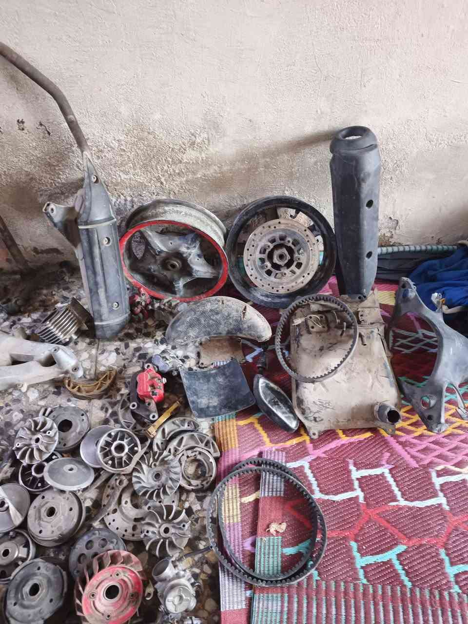 تفصيخ سكنز فحل ونثيه بغداد مدينة الصدر وهذا رقمي ***********
