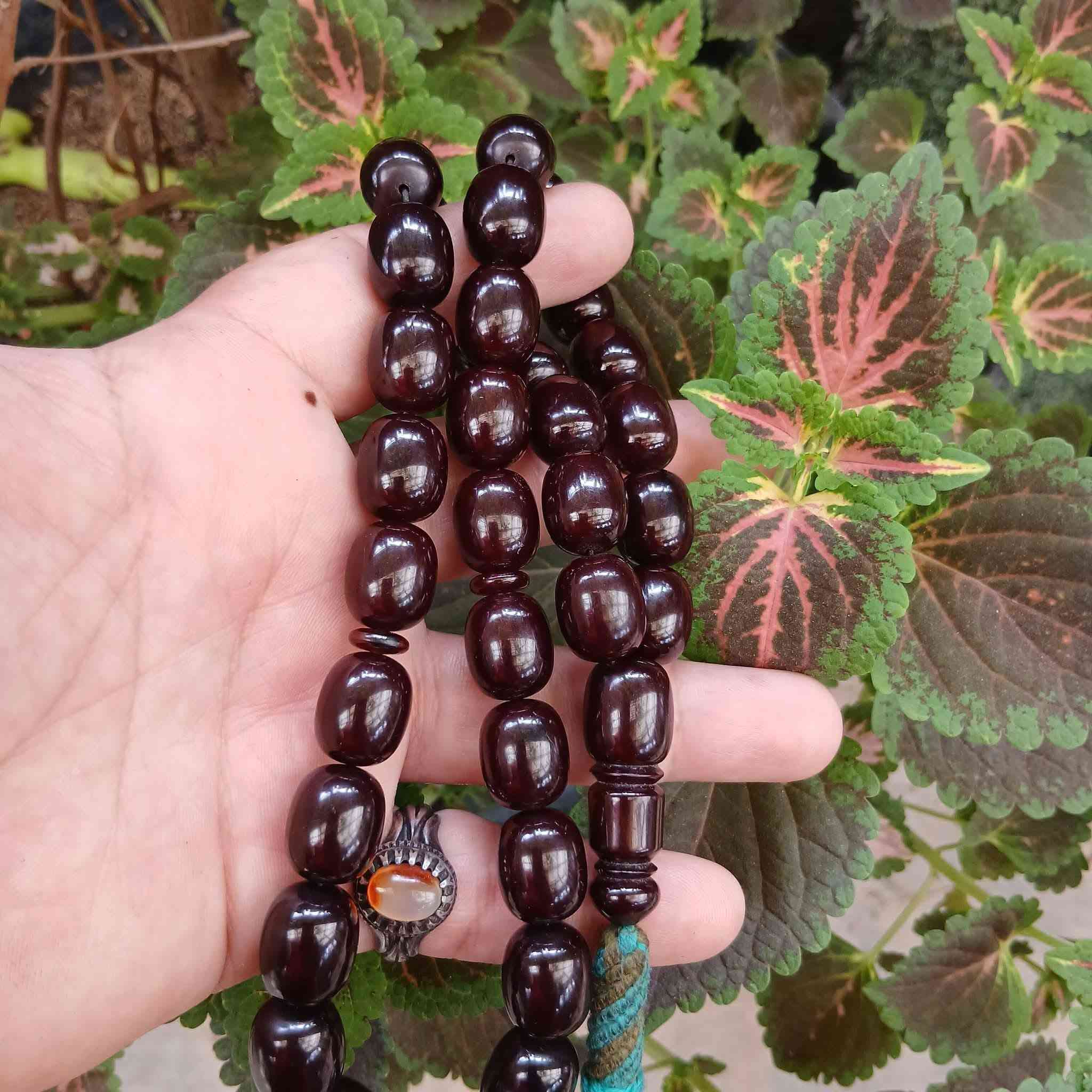 سندلوس مسكي • ١٥٫٥×١٣مم • ٧٩غرام
