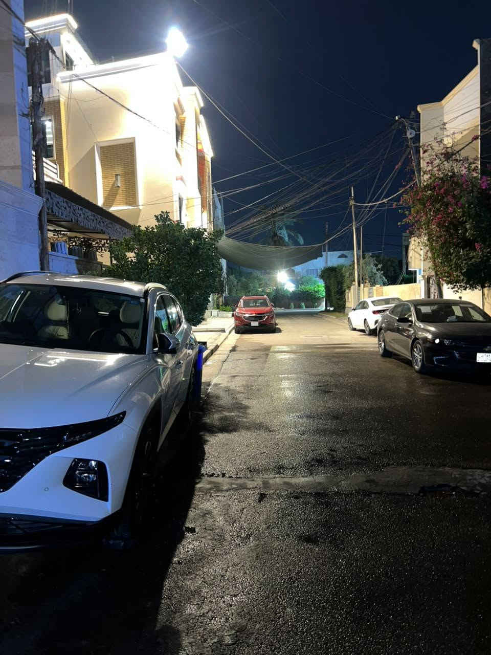 توكسان • ٢٠٢٤ • كفالة عامة