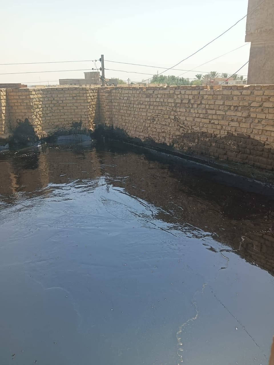 تزفيت السطوح • فلانكوت • الهاشميه