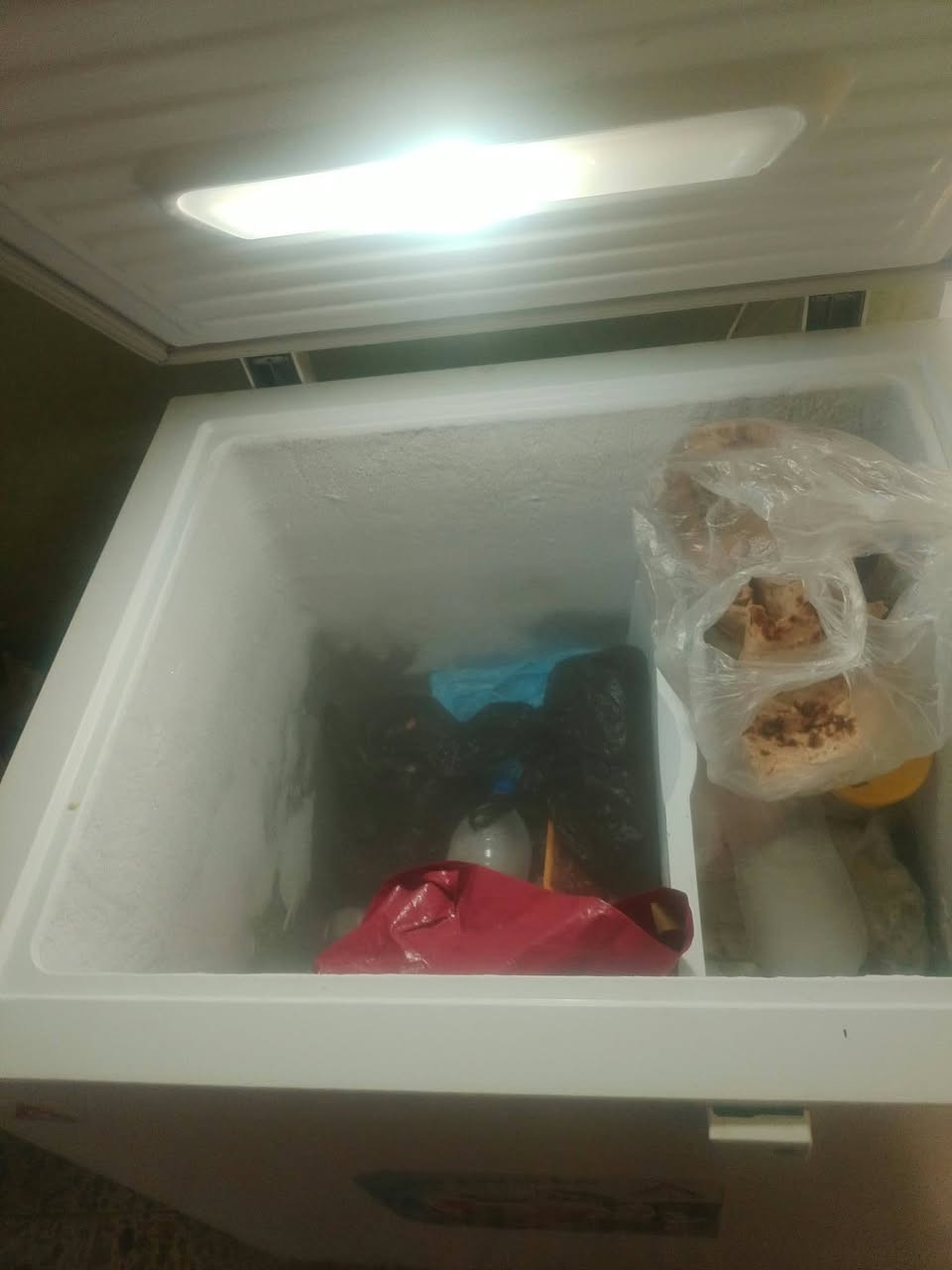 للبيع مجمده فول نظافه وتجميد بلاديه 200 مجال بسيط
فلوجه
