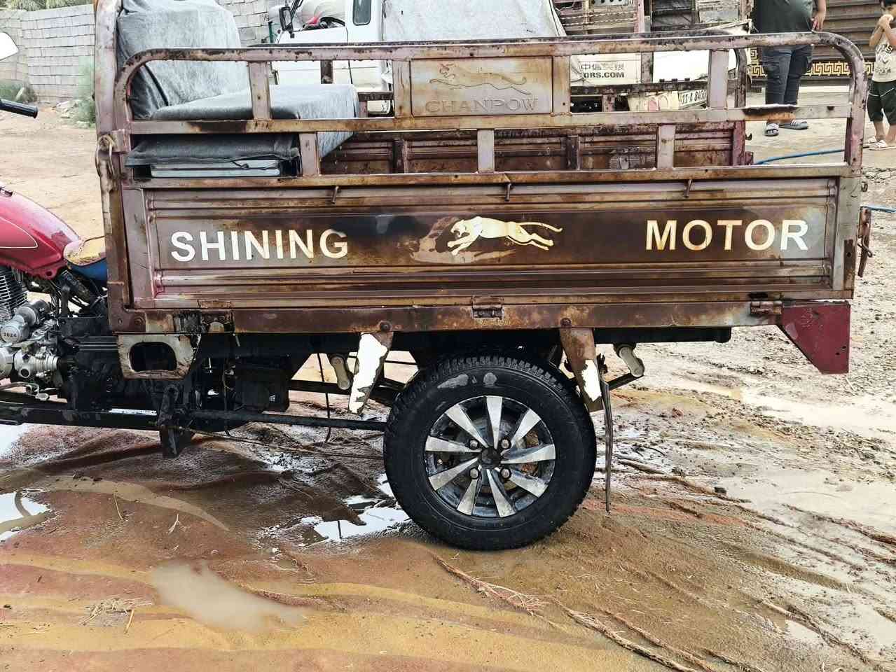 ستوته ام طير • ٢٠١٥ • ٢٤