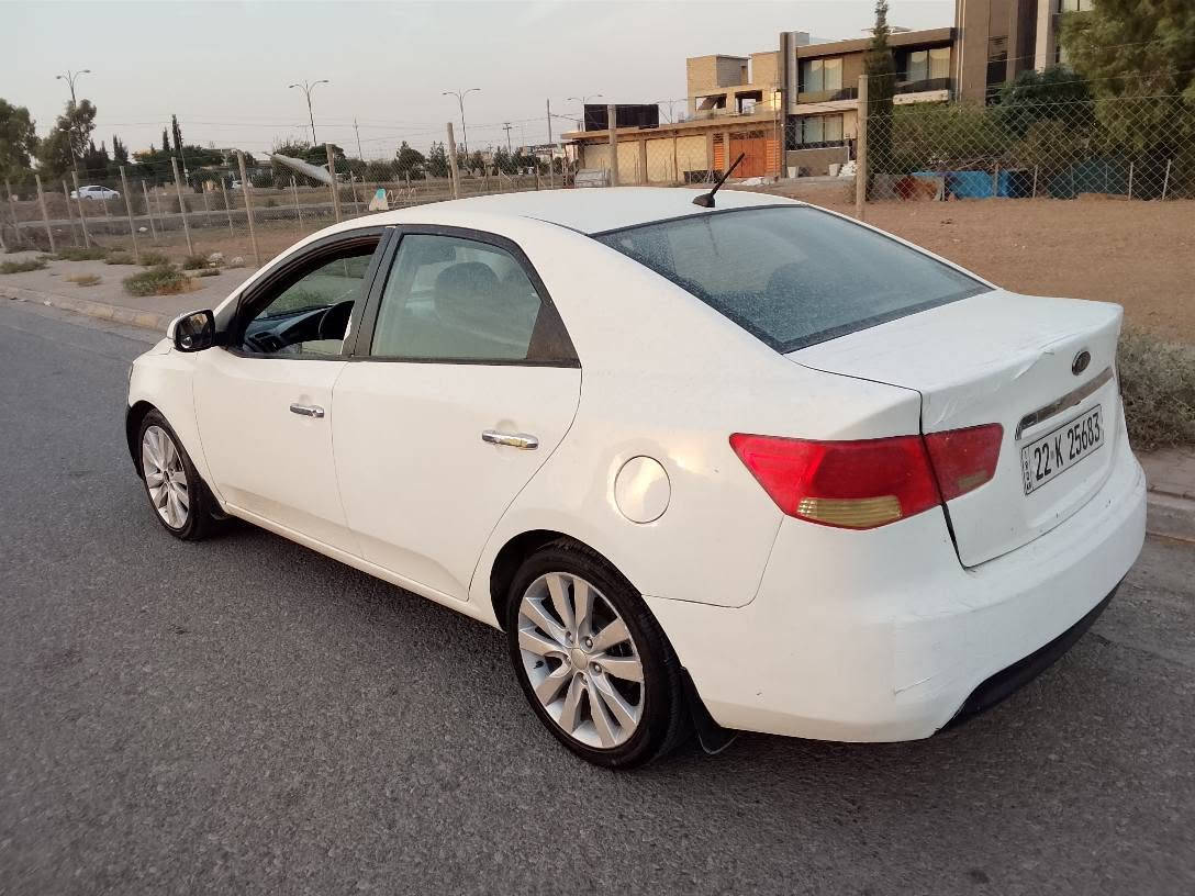 سيراتو • ٢٠١٣ • شمشمل