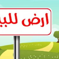 البوبيات • ١٠٠م • واجهة٨