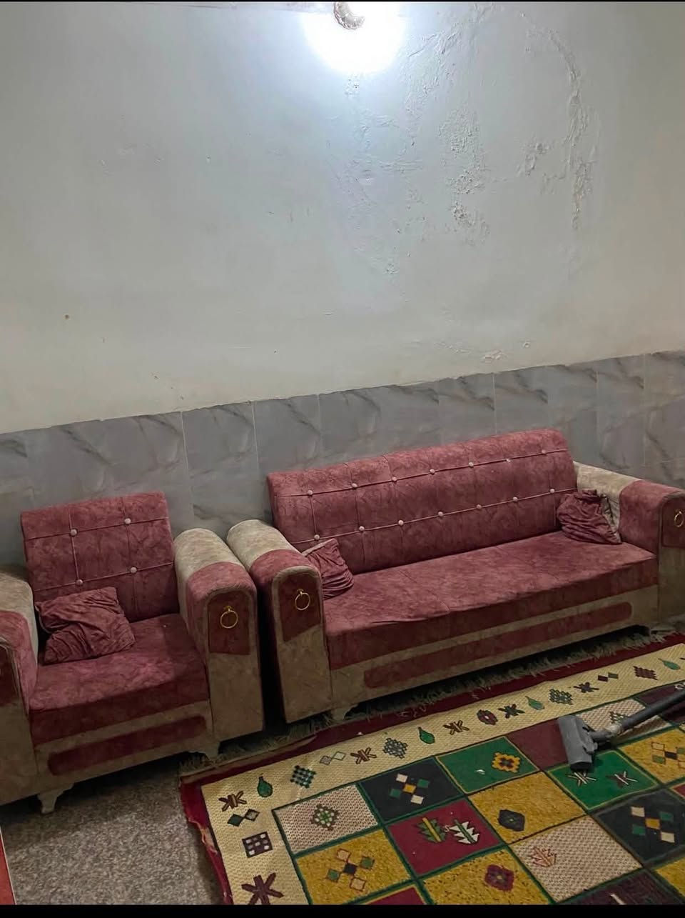 تخم لبيع رخيص كلش الاتصال ***********
