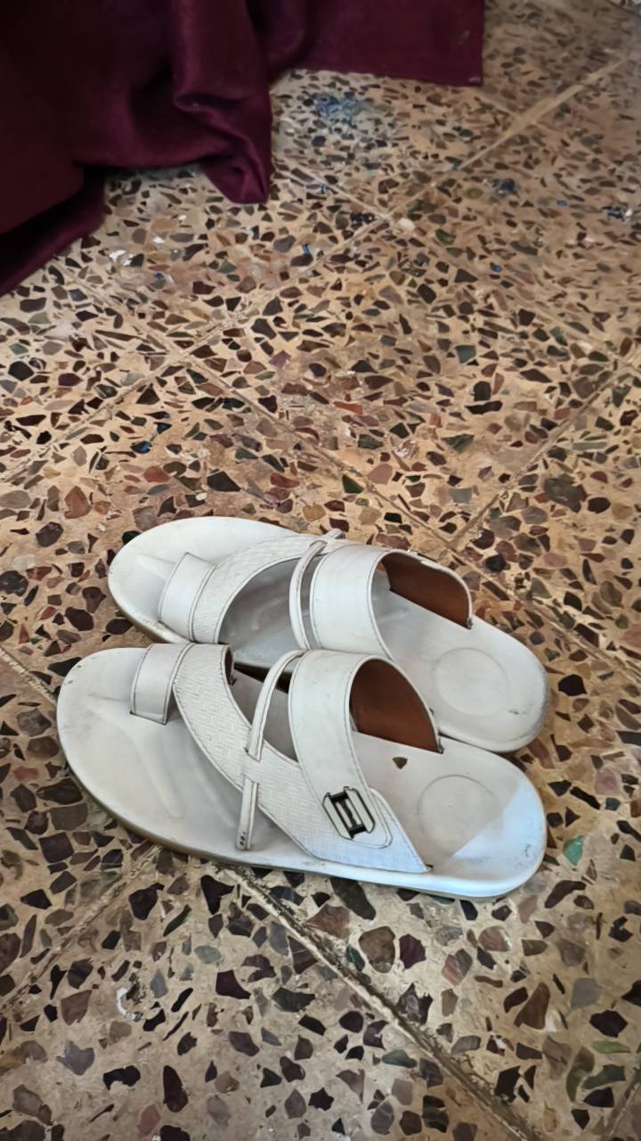 فول مواصفات • فول بياض • توصيل مجاني