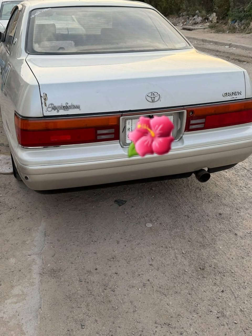 كفاله • دواخل جدد • زنون