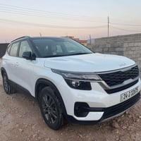 صبغ باب • اشواية • كيا سيلتوس