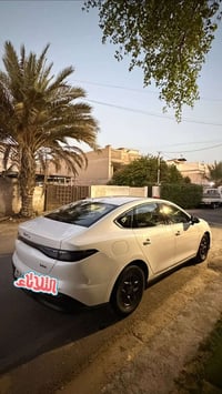 سيل5 • ٢٠٢٥ • ماشية ٢٠٠٠